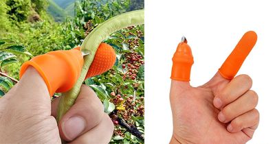 This Silicone Thumb Knife Is  a Super Clever Tool For Gardening and Pruning