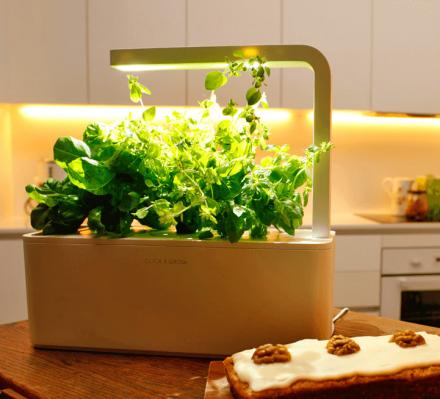 This Smart Herb Garden Starter Kit Makes Growing Your Own Herbs A