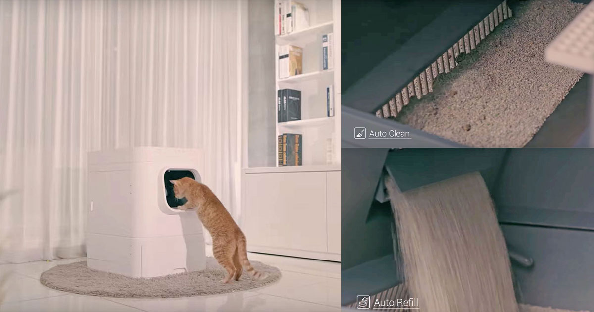 This Smart Litter Box Will Keep Your House Smelling Fresh And Your