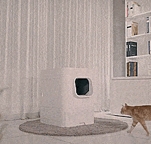 This Smart Litter Box Will Keep Your House Smelling Fresh And Your Kitty Happy