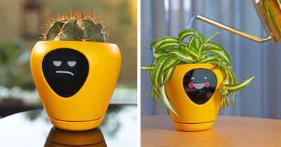 This Smart Planter Will Monitor Your Indoor Plants, and It Acts Just Like a Tamagotchi Pet