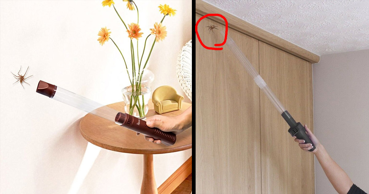 This Spider Catching Vacuum Wand Lets You Catch Bugs From Afar Without