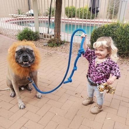 This Toddler Tiger King Costume Wins Halloween This Year