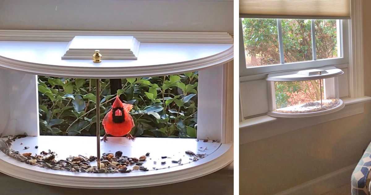 This Unique Indoor Bird Feeder Installs Right In Your Window Sill