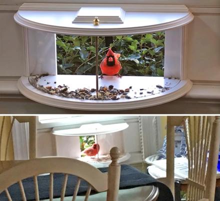 Indoor bird feeder window