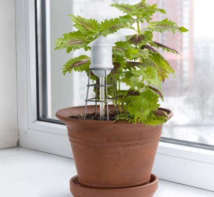 This Water Tower Will Water Your Plant Slowly Over Time