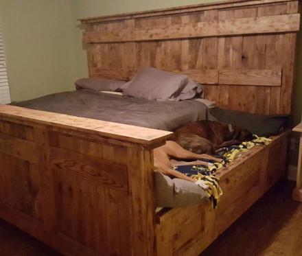 king bed with dog bed underneath