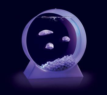 Jellyfish Aquarium Kit