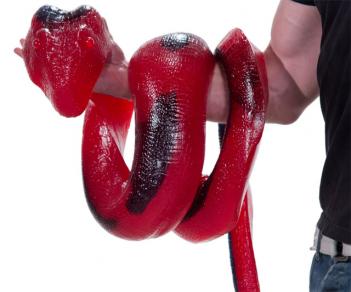 26 Pound Giant Gummy Python Snake