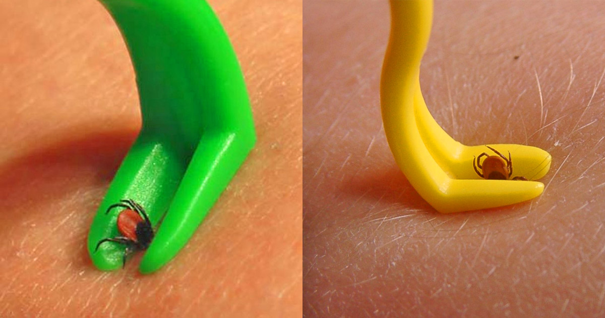 Tick Twister Tick Remover