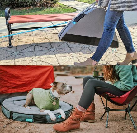 Travel Dog Bed Folds In Half, Lets You Store Items In Center