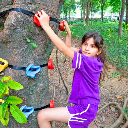 These Tree Climbing Holds Help Your Kids Learn To Climb a Tree