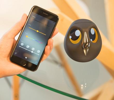 Ulo: An Owl Shaped Security Camera