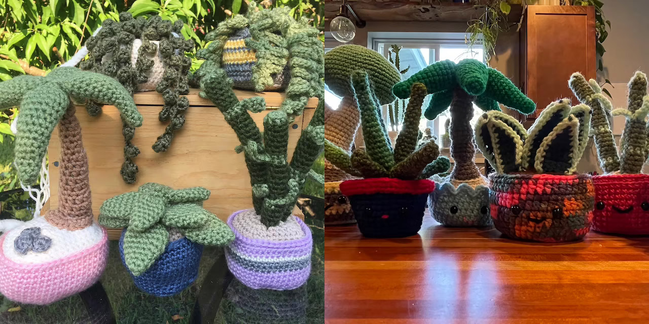 Adorable Crochet House Plants