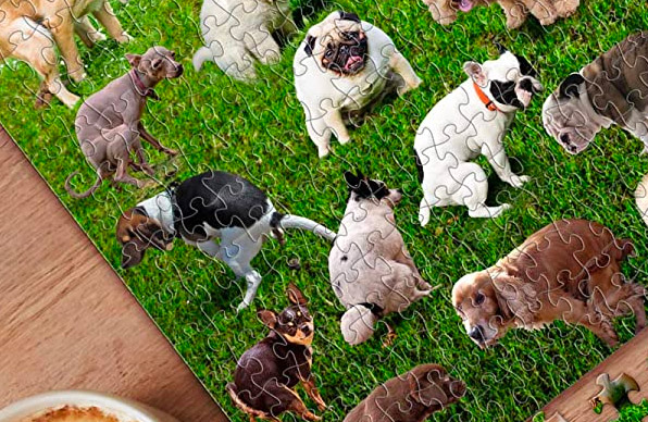 101 Pooping Dogs Puzzle