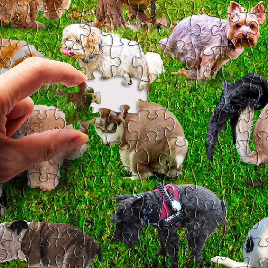 Pooping Dogs Puzzle