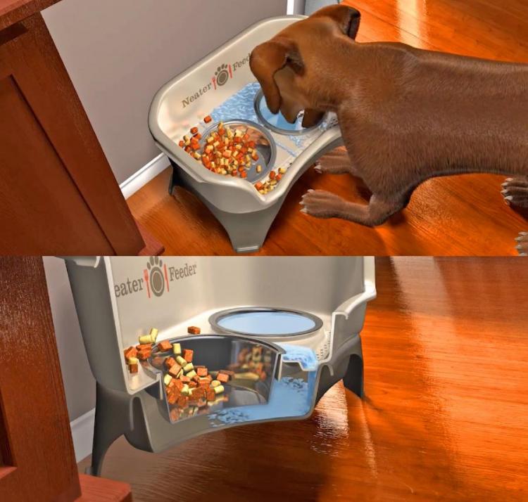 A Dog Feeding Station That Absorbs Spilt Water