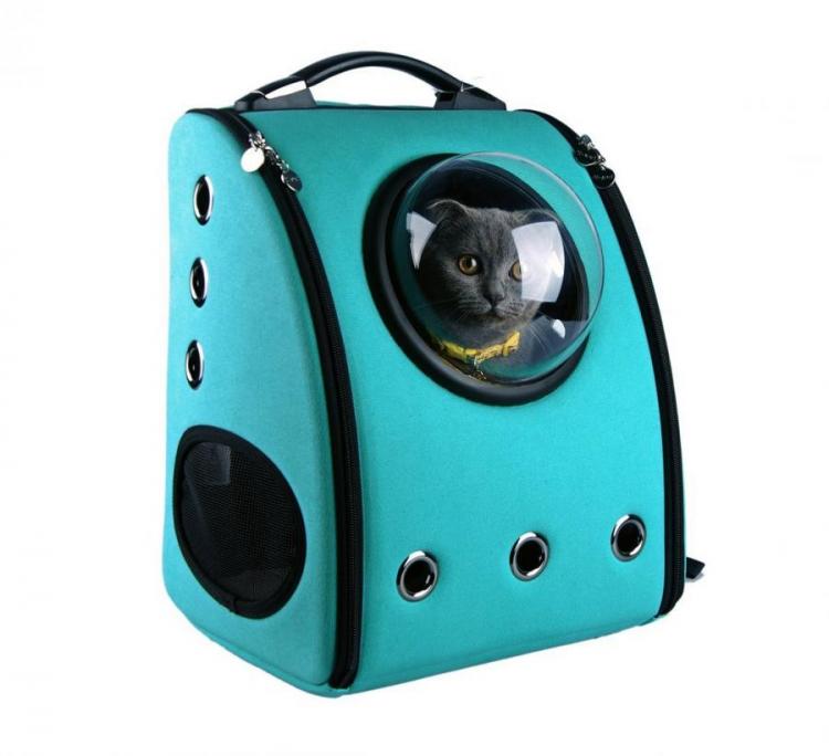 These Unique Bubble Window Pet Bags Let You Travel With Your Cat or Dog