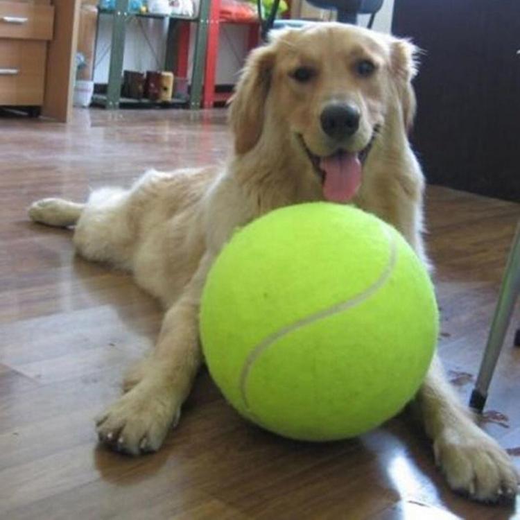 Giant Tennis Ball For Your Dog