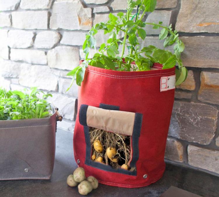 Home Potato Planter With Flap For Picking Potatoes