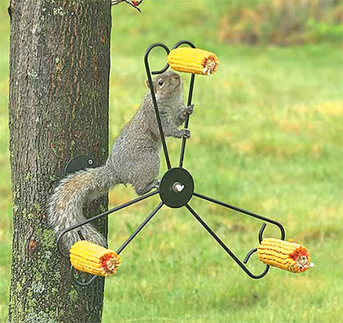 BONUS: Spinning Squirrel Feeder