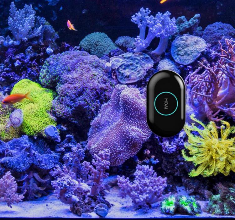 MOAI: A Robotic Camera and Cleaner For Your Aquarium