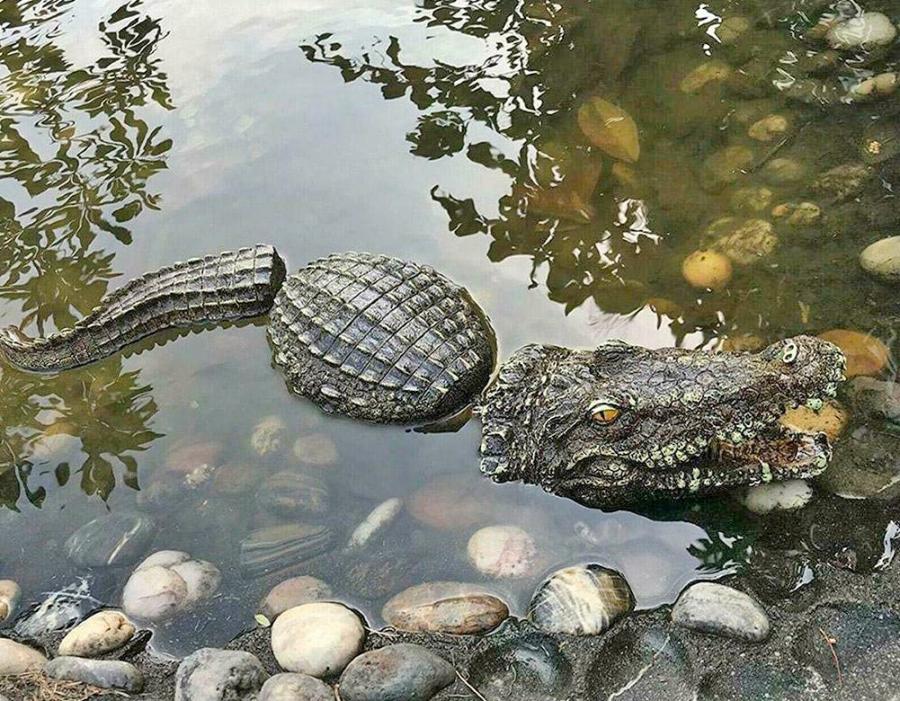 3-Piece Crocodile Garden Statues