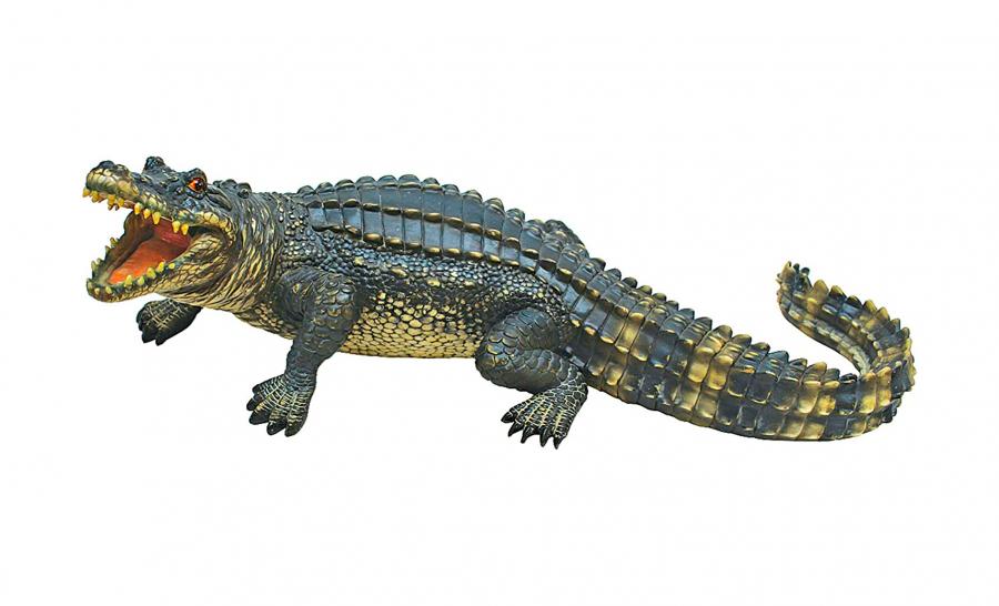 We provide High-Quality Items at Affordable Price. Alligator 3-in