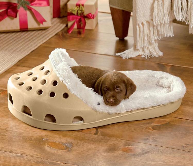 Shoe Shaped Dog Bed