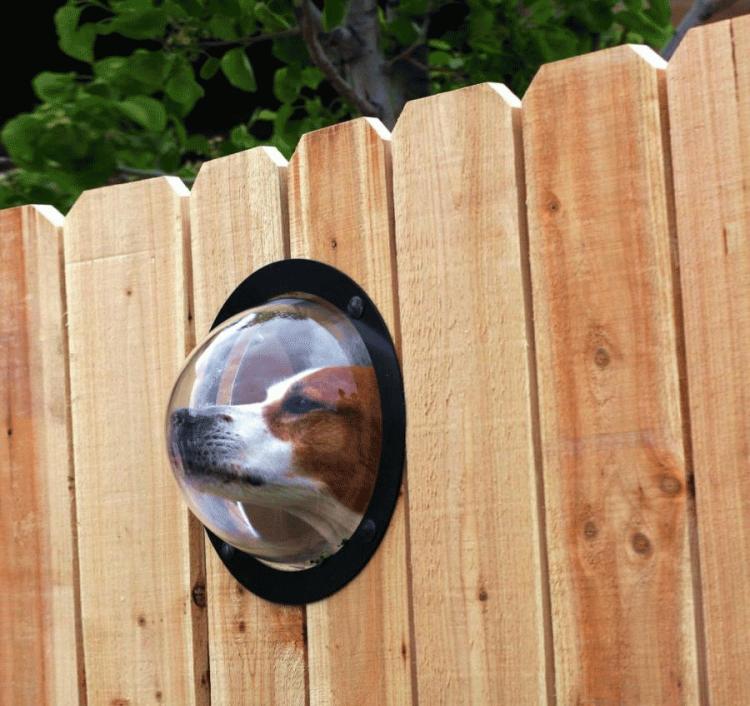 Pet Peek Fence Window For Dogs