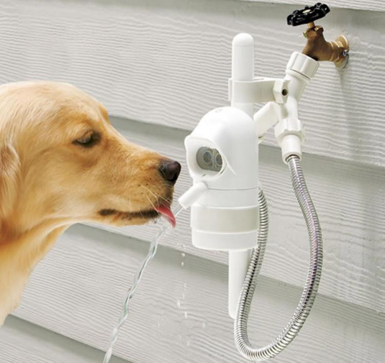Outdoor Sensor Drinking Fountain For Your Dog
