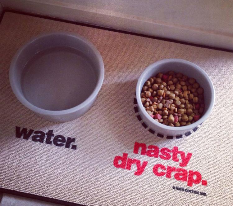 Water / Nasty Dry Crap Dog Mat