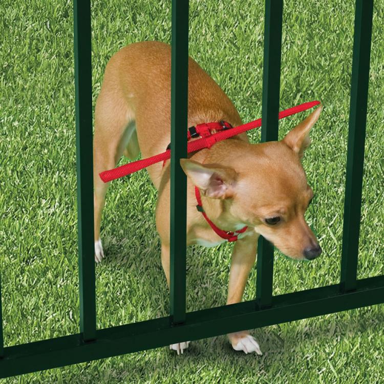 Dog Escape Preventing Harness
