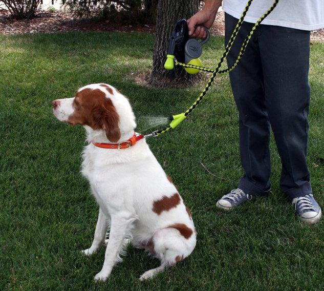 Dog Leash With Misting Water Sprayer
