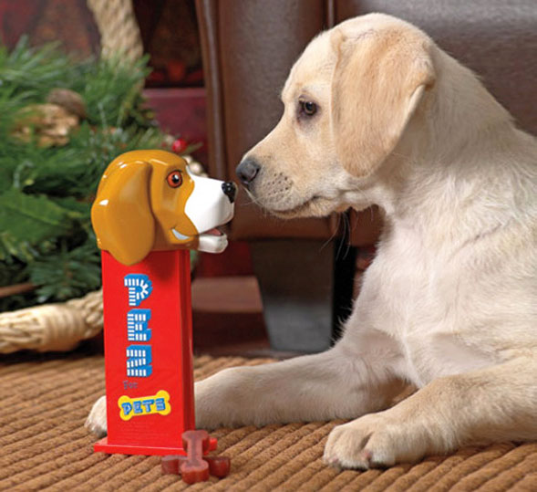 Giant Pez Dispenser That Dispenses Dog Treats
