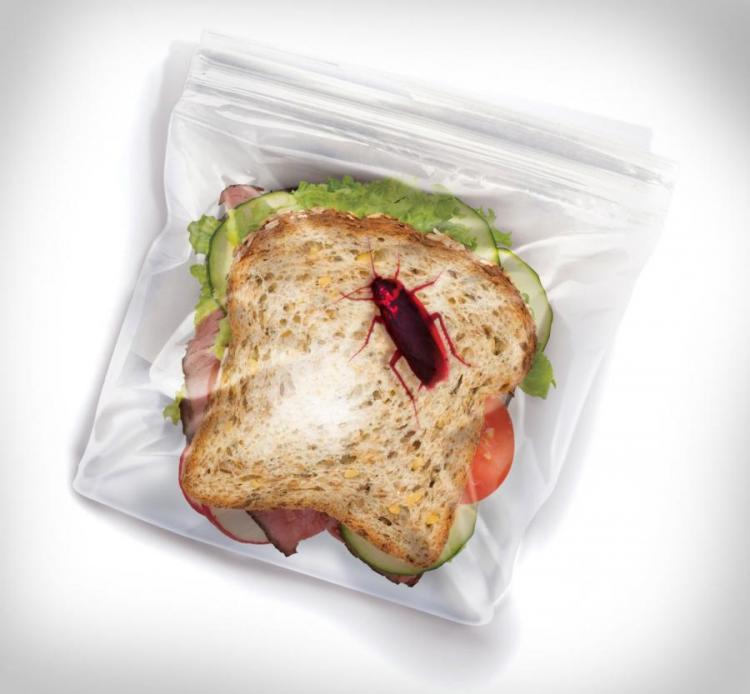 Sandwich Bags With Bugs To Deter Office Lunch Thieves