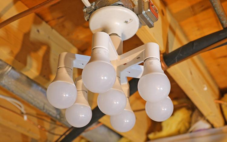 7-in-1 Light-Bulb Splitter Puts 7 Bulbs Into One Socket - 7 Light Bulb Adapter