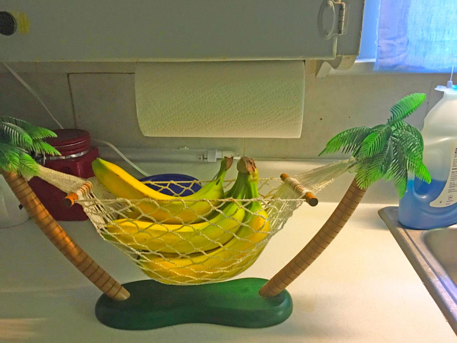 Actual Banana Hammock With Palm Trees