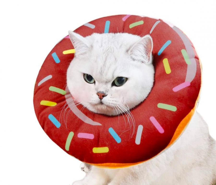 Adorable Donut Cat Cone