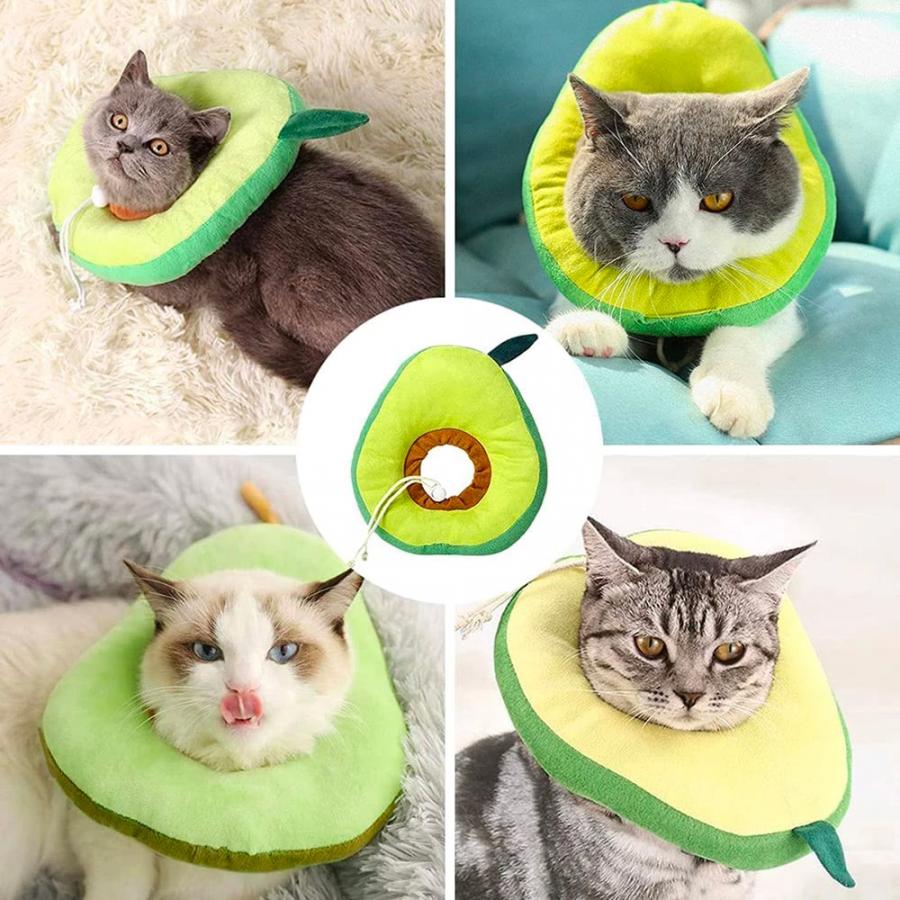Adorable Avocado Cat Cone