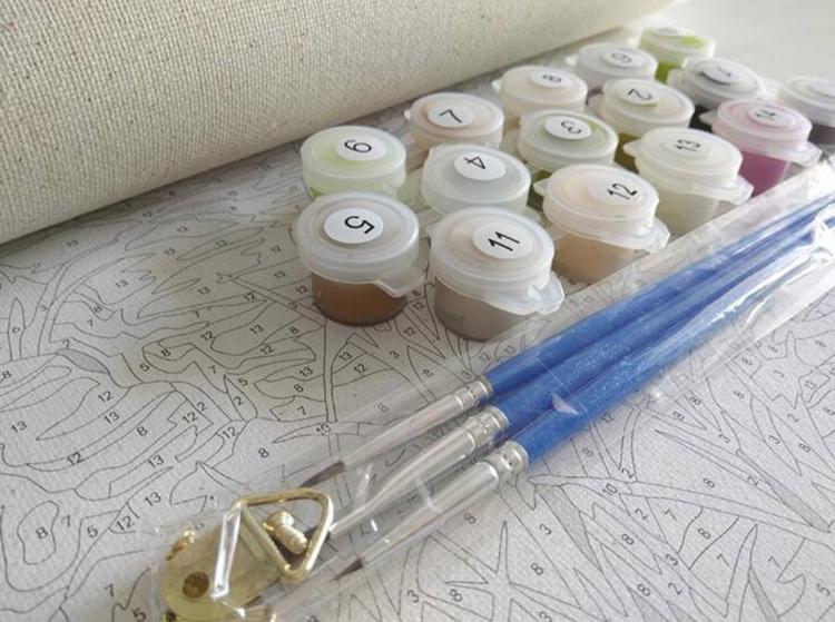 Paint By Numbers Kit For Adults Lets You Paint Your Own Masterpiece