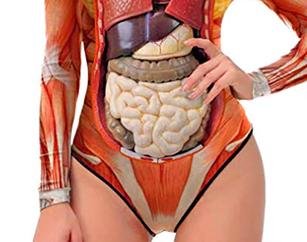 Anatomically Correct Swimsuit Halloween Costume - Funny guts women's swimsuit costume/cosplay