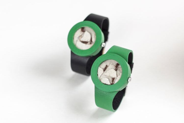 Ant Watch - Wrist Watch With Live Ants