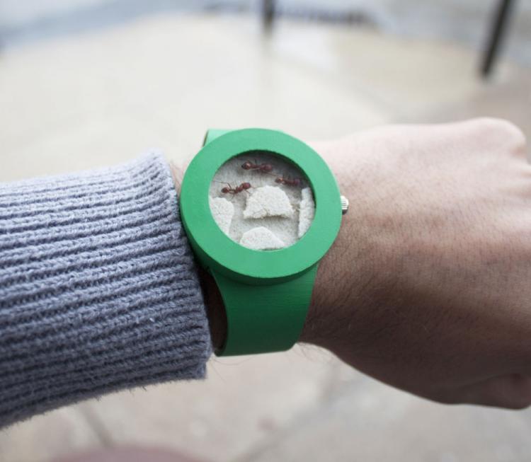 Ant Watch - Wrist Watch With Live Ants