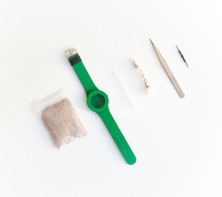 Ant Watch - Wrist Watch With Live Ants