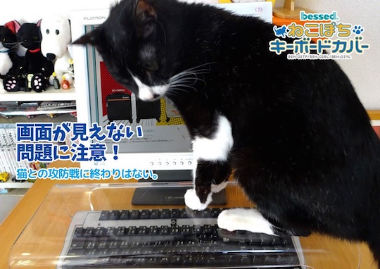 Anti-Cat Keyboard Cover