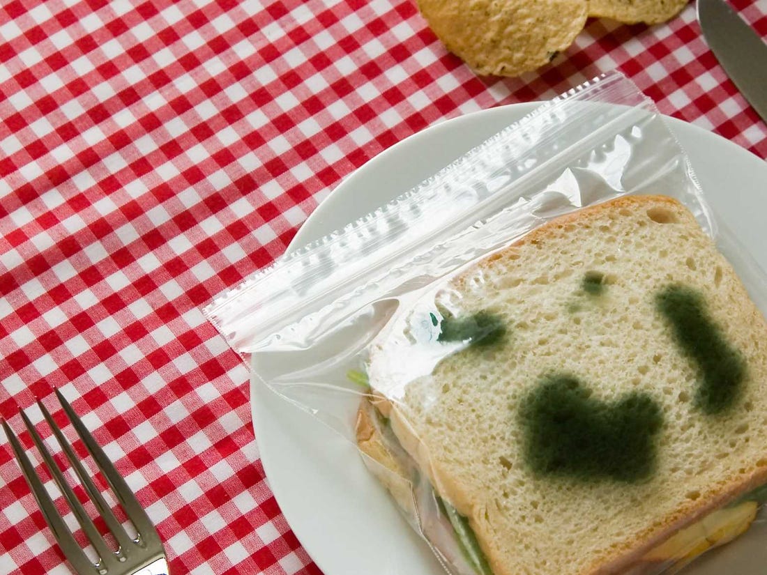 Anti-Theft Lunch Bags - Fake prank Moldy ziploc sandwich bags