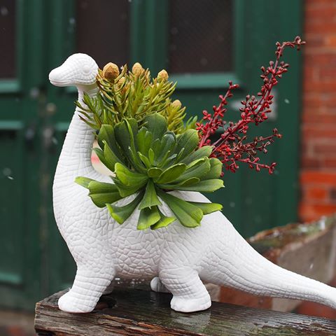 Aplantasaurus: Dinosaur Shaped Planter - Brontosaurus plant holder