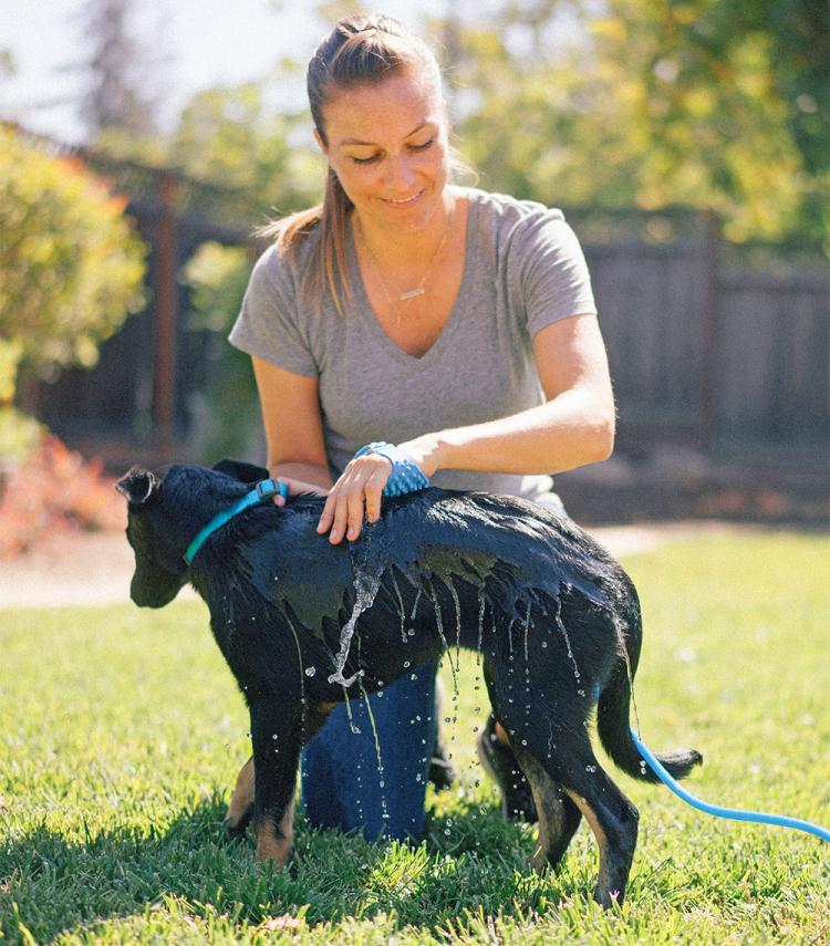 Aquapaw Palm Dog Scrubber and Sprayer - Spray water from your palm to wash your dog - connects to garden hose or shower head