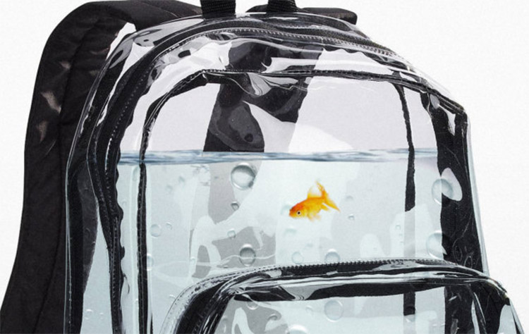 travel fish backpack